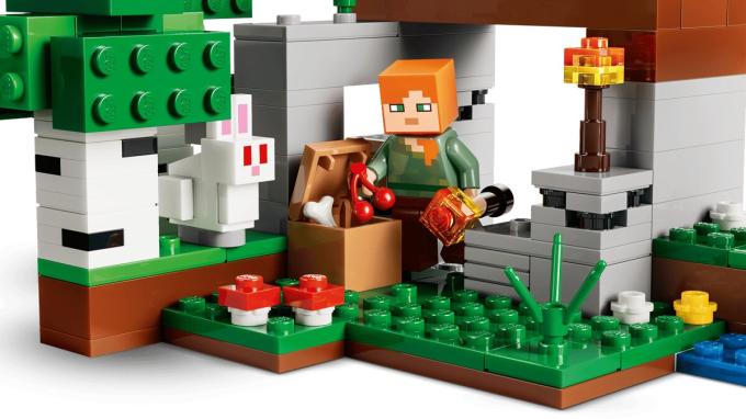 LEGO 21593