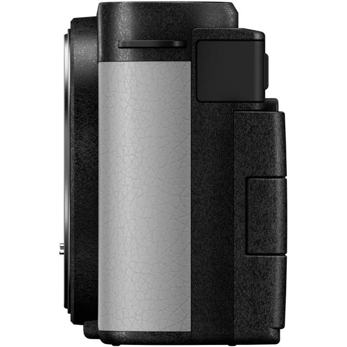 PANASONIC DC-S9NE-W