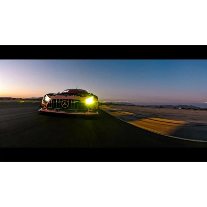 GoPro AEWAL-011