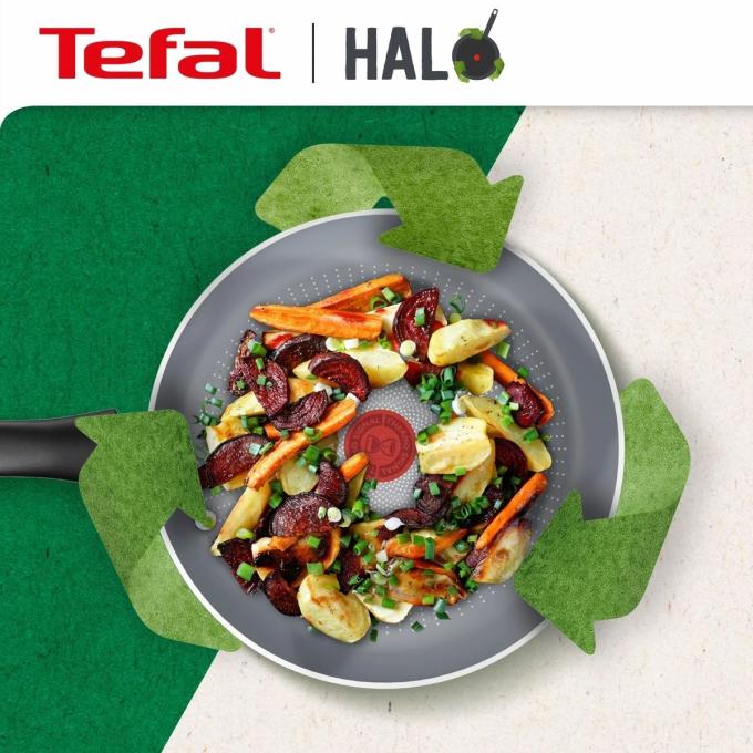 TEFAL C3120253