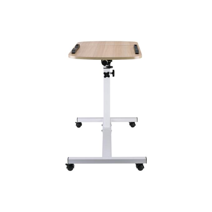 ITECHmount TS-10