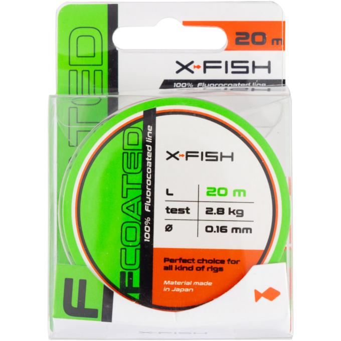 X-Fish 1917.01.41