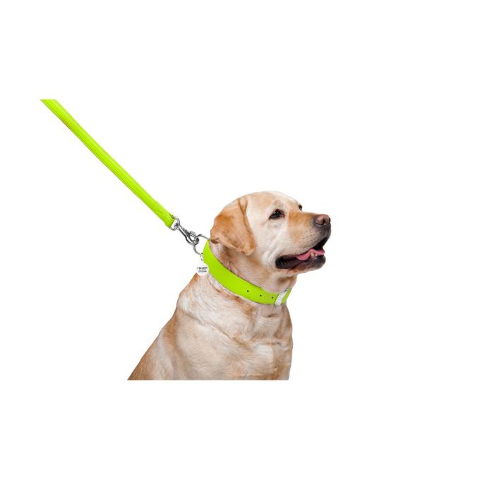 WAUDOG 33765