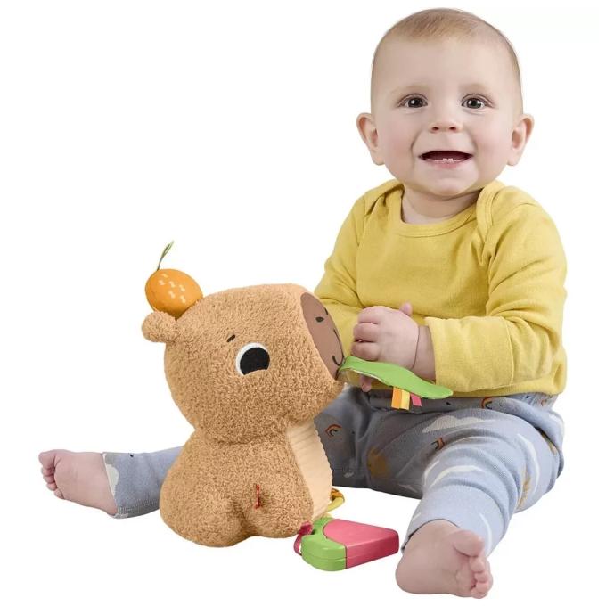 Fisher-Price HYR54