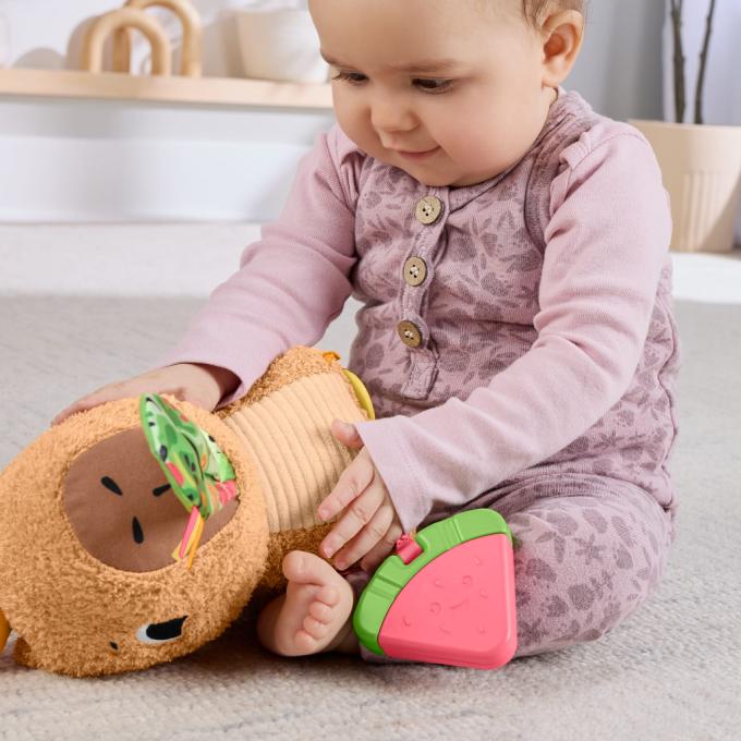 Fisher-Price HYR54