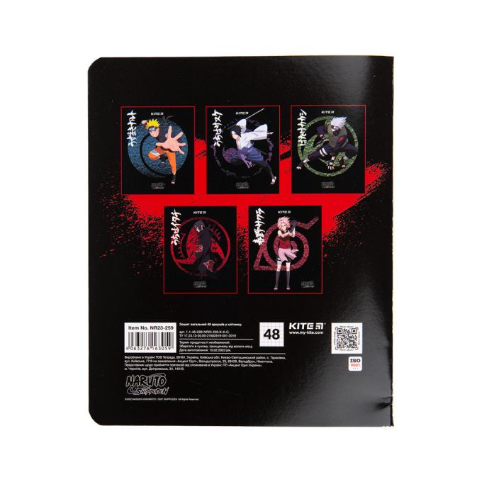 Kite NR23-259