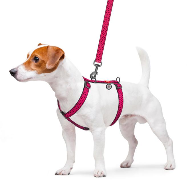 WAUDOG 5561