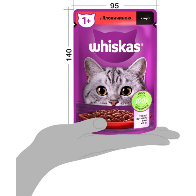 Whiskas 5900951301940