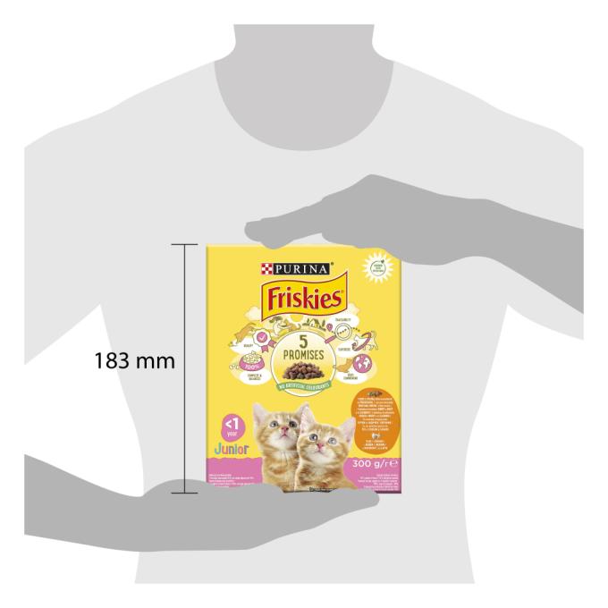 Purina Friskies 7613031868360