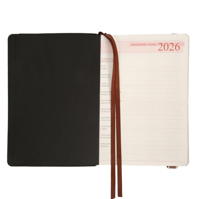 Leo planner 252693