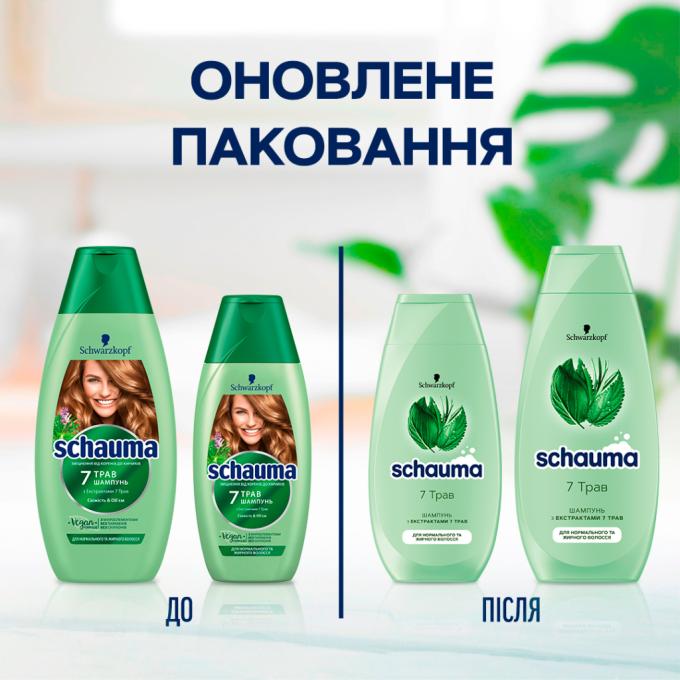 Schauma 4012800167612