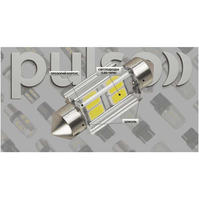 PULSO LP-62036