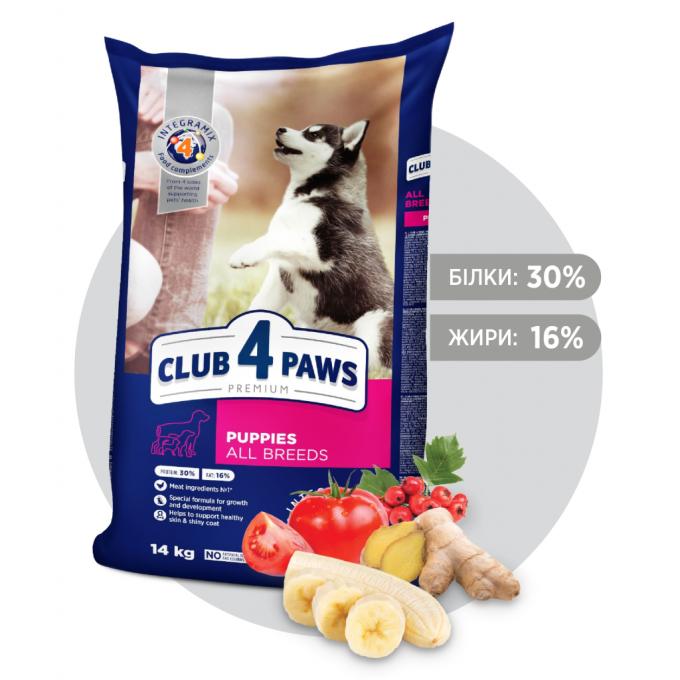 Club 4 Paws 4820083909696