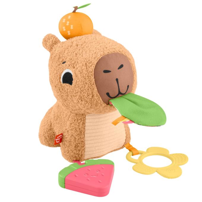 Fisher-Price HYR54