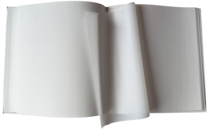 EVG 20sheet T29x32 Sring Twig