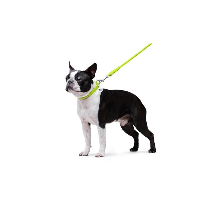 WAUDOG 33775