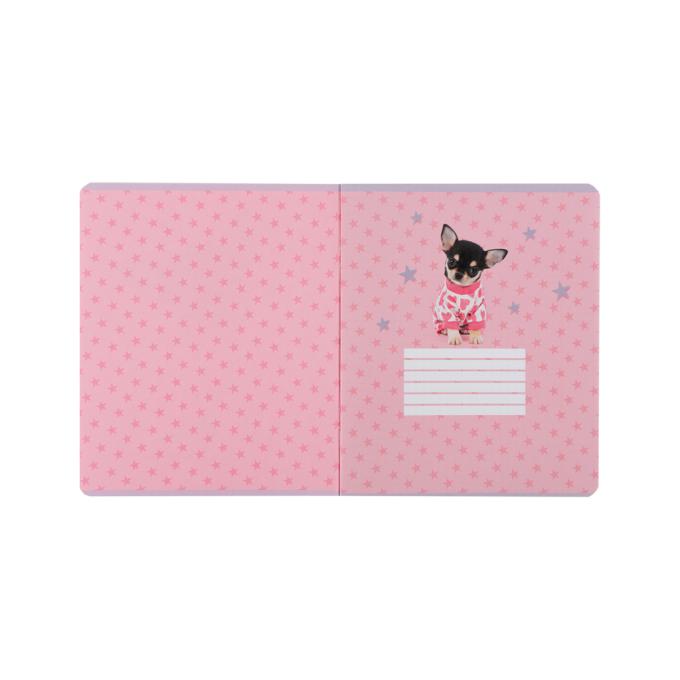 Kite SP25-238