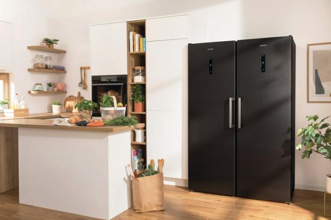 Gorenje FN619EABK6