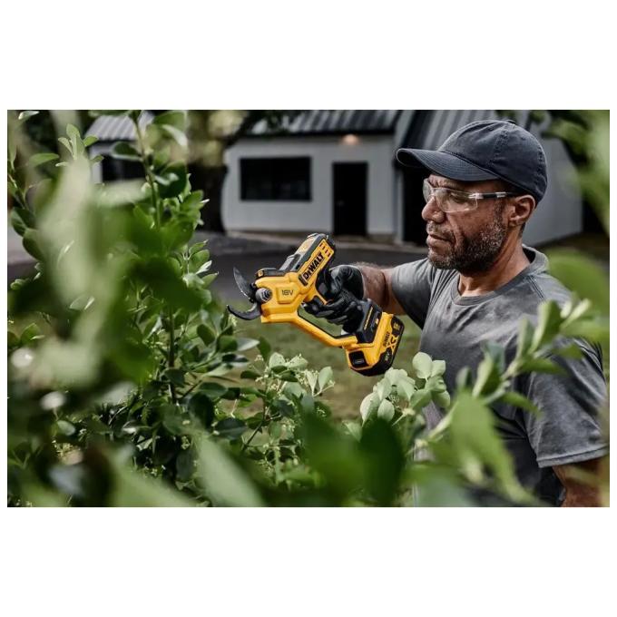 DeWALT DCMPP568N