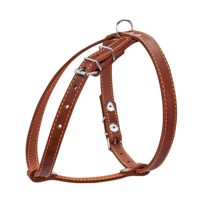 Collar 06346