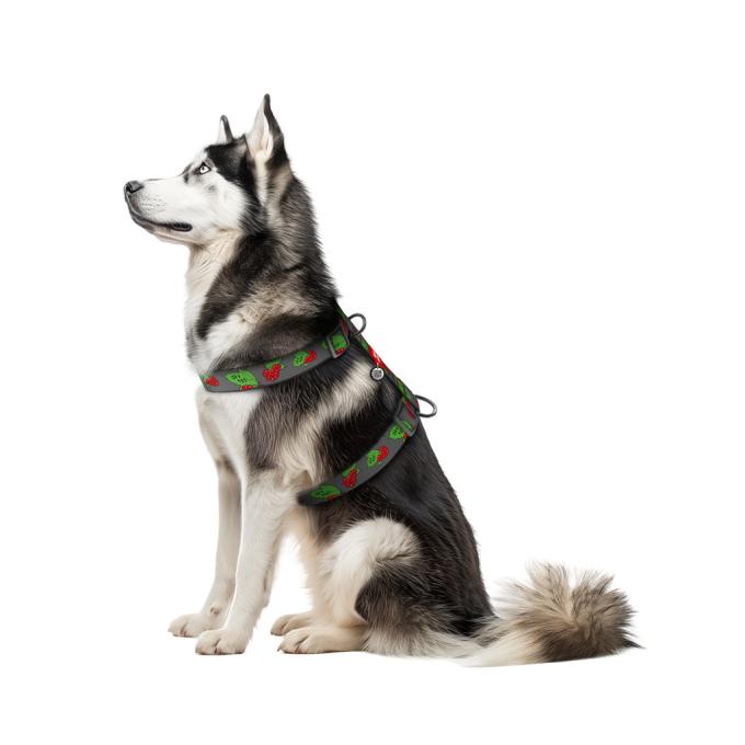 WAUDOG 323-0228