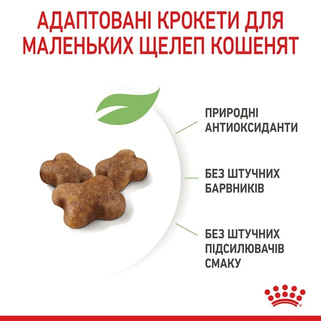 Royal Canin 2522100
