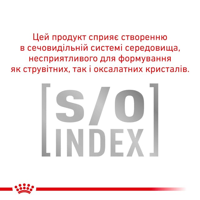 Royal Canin 39010041