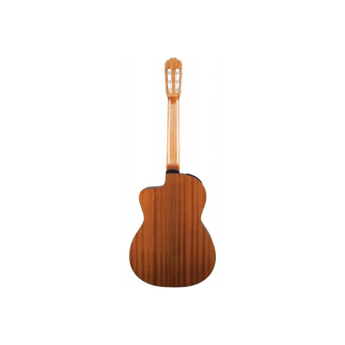 Takamine 221977