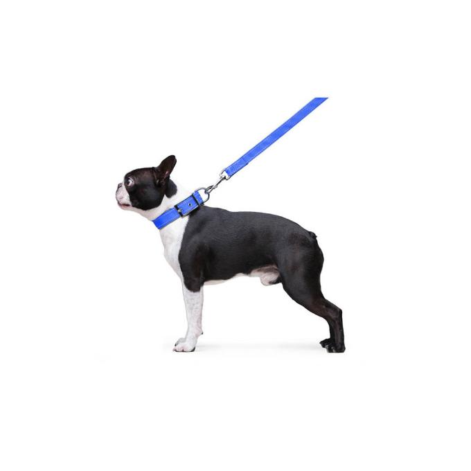 Dog Extreme 42982