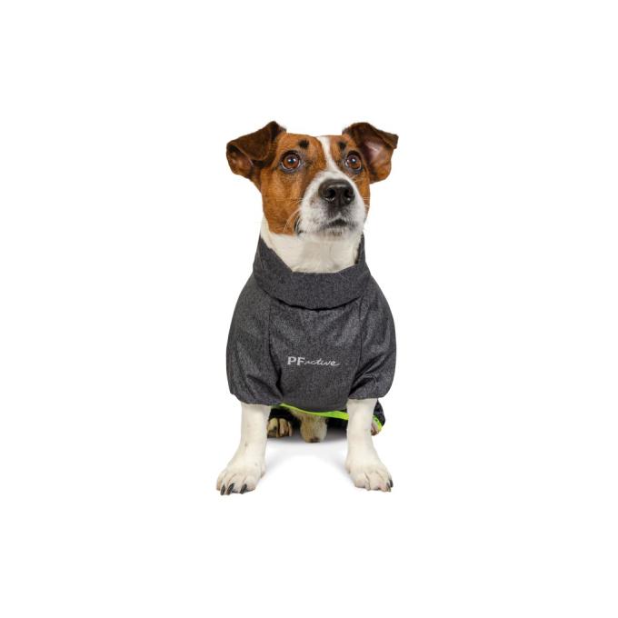 Pet Fashion 4823082416431