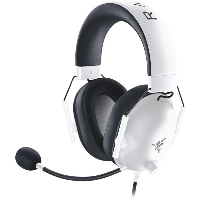 Razer RZ04-03241700-R3M1