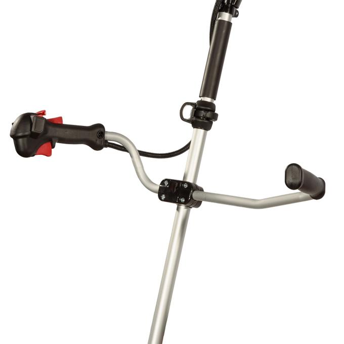 Vitals 243551