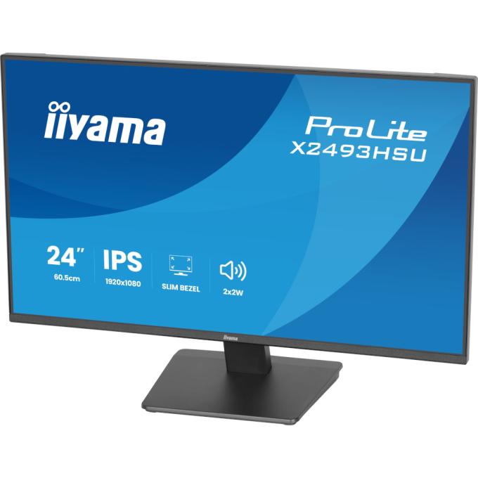 Iiyama X2493HSU-B1