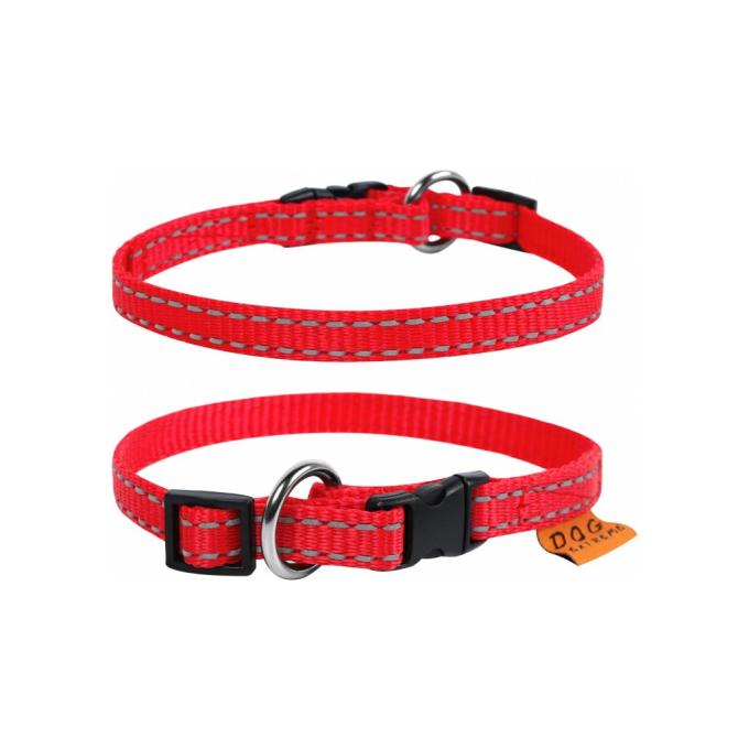 Collar 42843