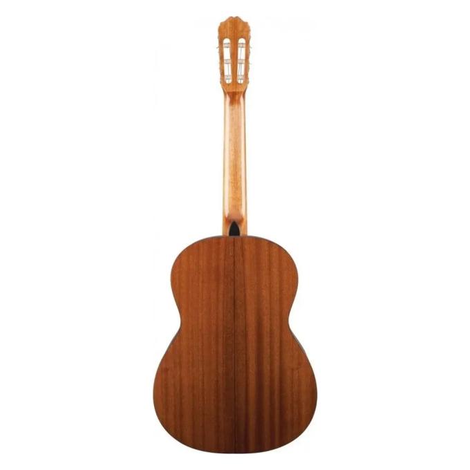 Takamine 228885