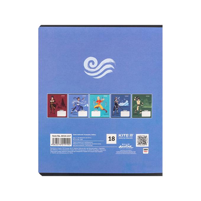 Kite AV24-237