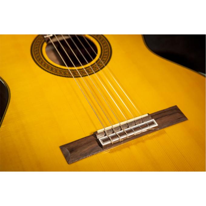 Takamine 234729