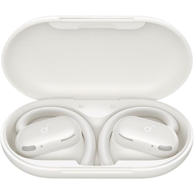 Anker A3876G21