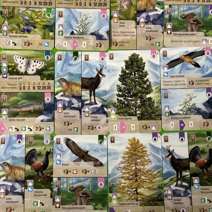 Lords of Boards 4820246020763