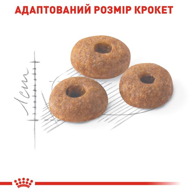 Royal Canin 2520004