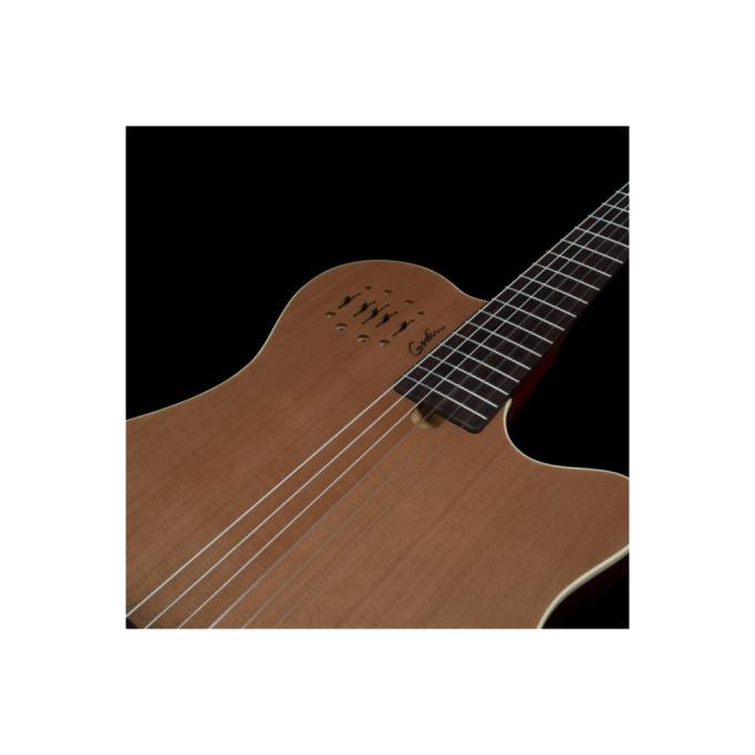 Godin 235919