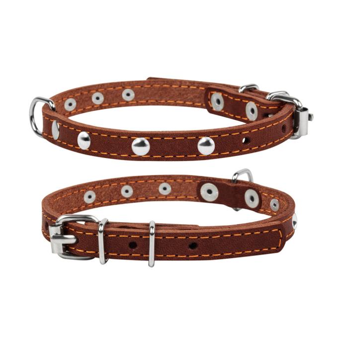 Collar 00236