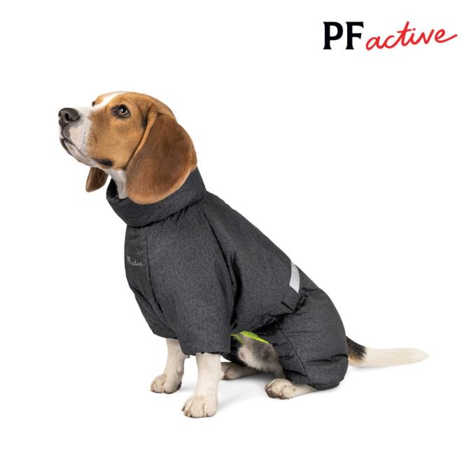 Pet Fashion 4823082426294