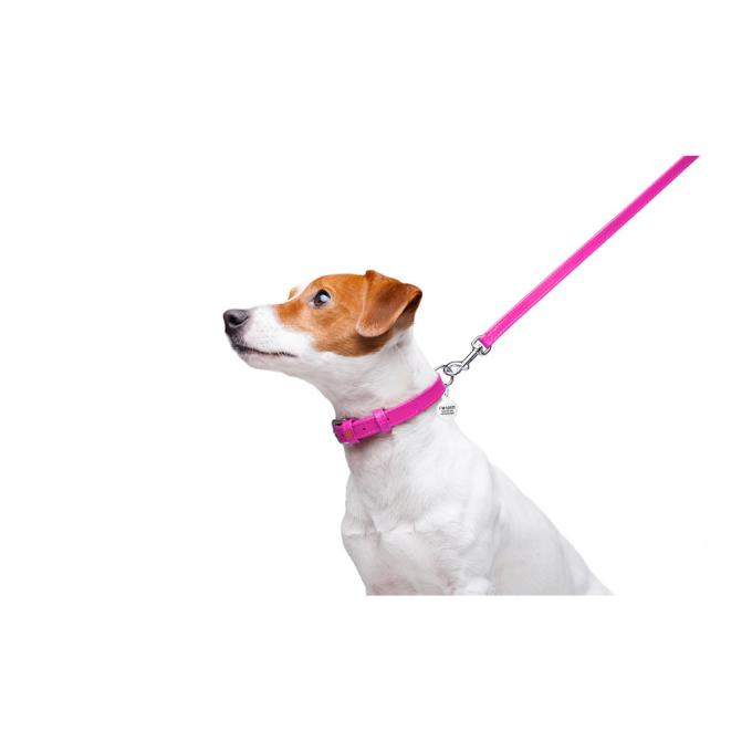 WAUDOG 33727