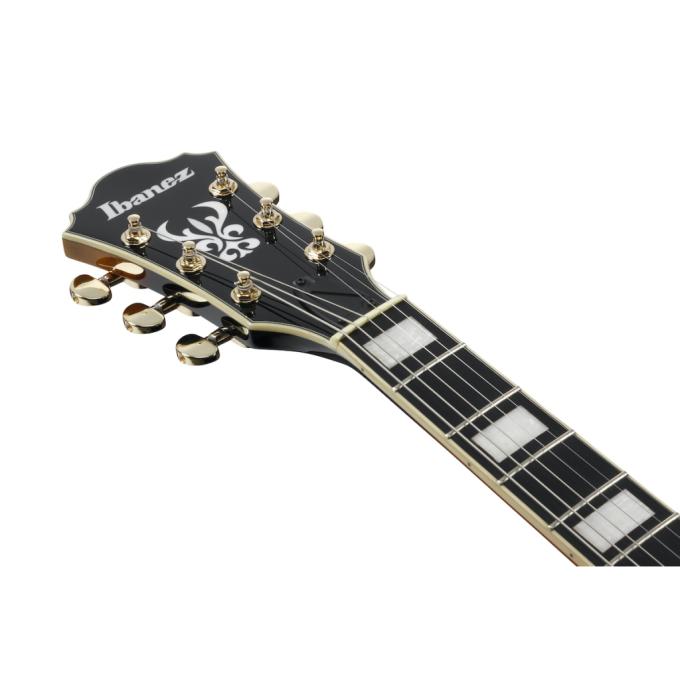 Ibanez 232548