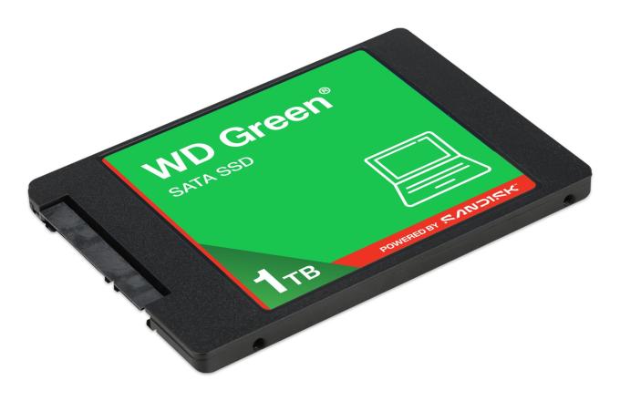 SANDISK WDS100T5G0A-00CPT0