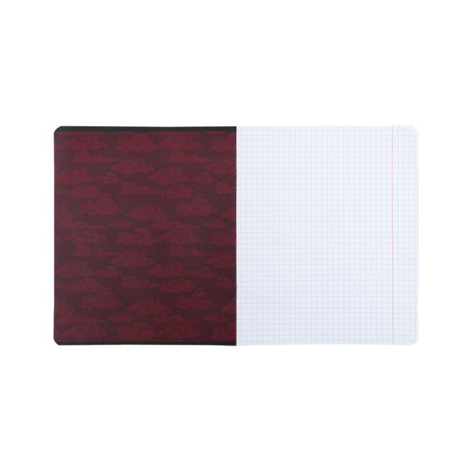Kite NR25-232