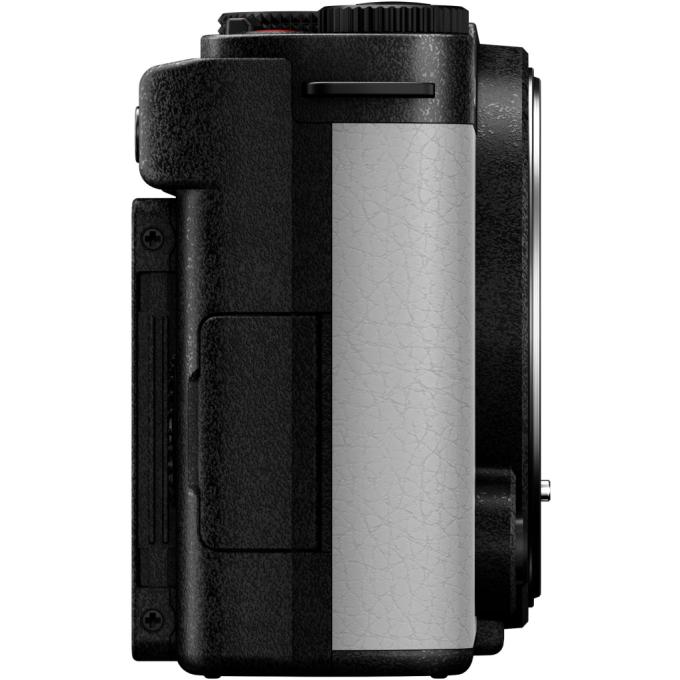 PANASONIC DC-S9NE-W