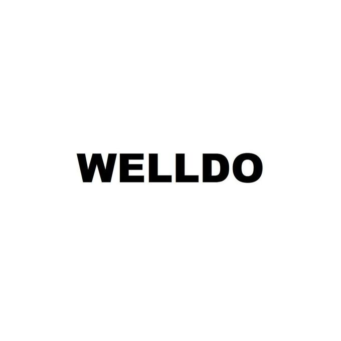 WELLDO WDDK180ECO