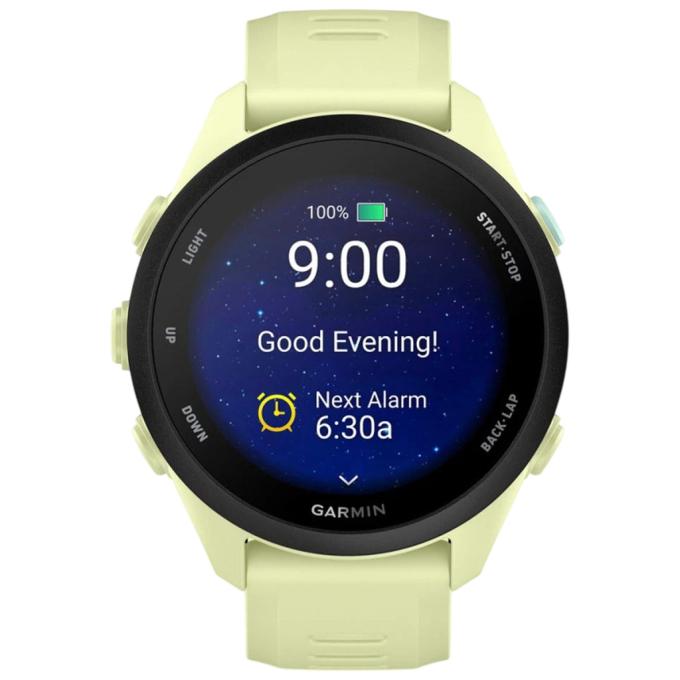 Garmin 010-04307-02